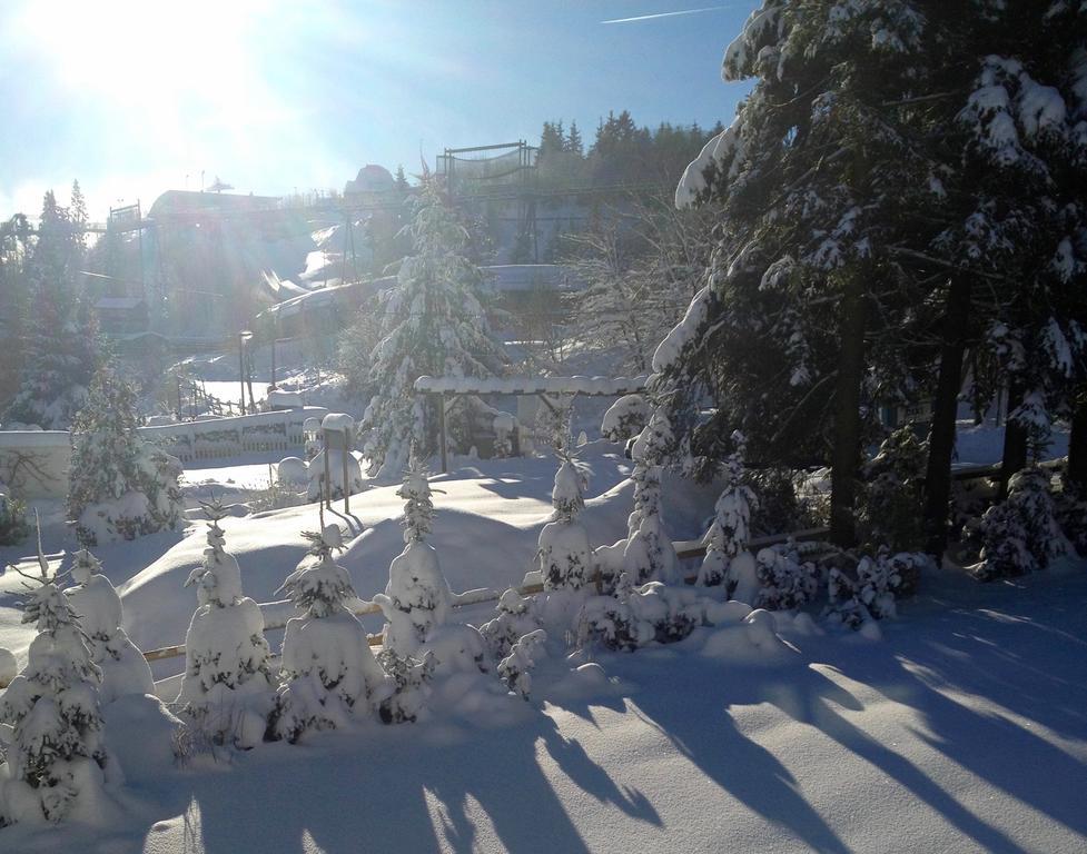 Fewo-Winterberg Zewnętrze zdjęcie